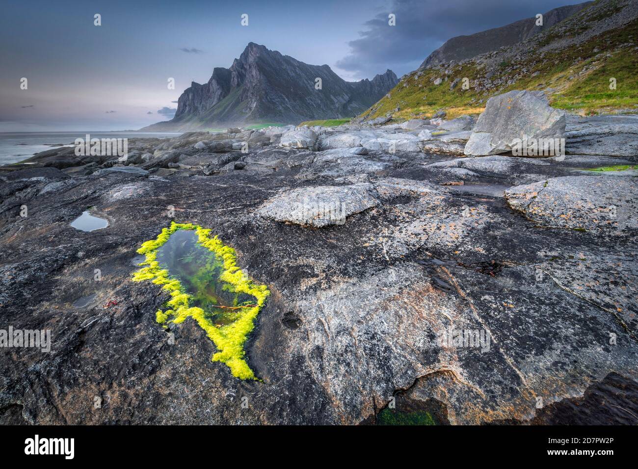Formations rocheuses avec piscines à marée, bande côtière, chaîne de montagnes à l'arrière, Vikten, Nordland, Lofoten, Norvège Banque D'Images