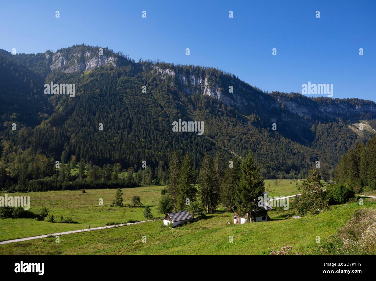 Prés alpins et huttes alpines à Rettenbachtal, Bad Ischl, Salzkammergut, haute-Autriche, Autriche Banque D'Images