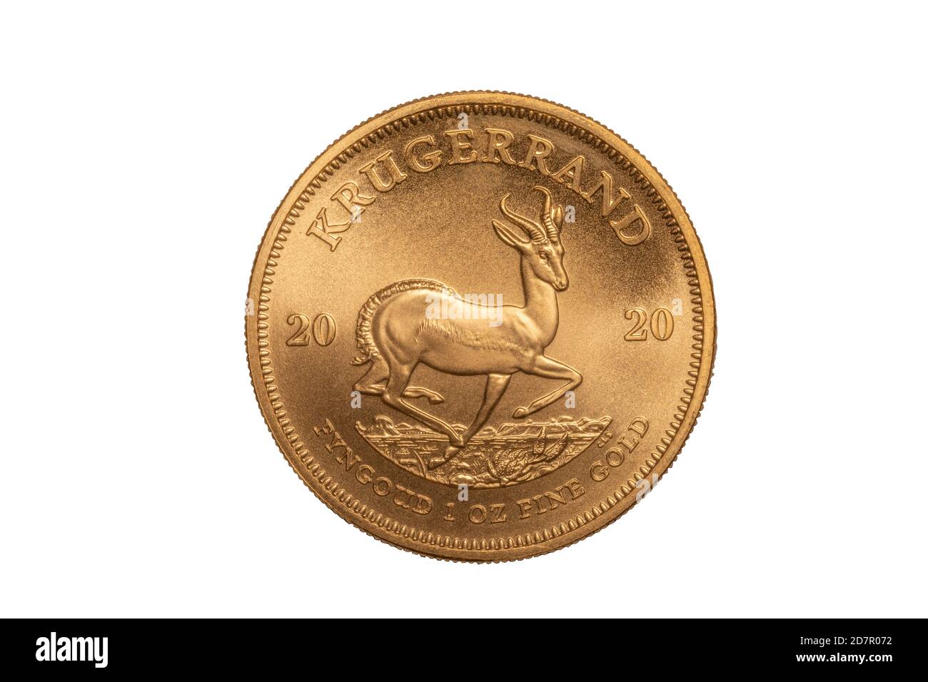 Krugerand 1 OZ Gold sur fond blanc d'Afrique du Sud.Le Krugerrand est une pièce de monnaie sud-africaine. Banque D'Images
