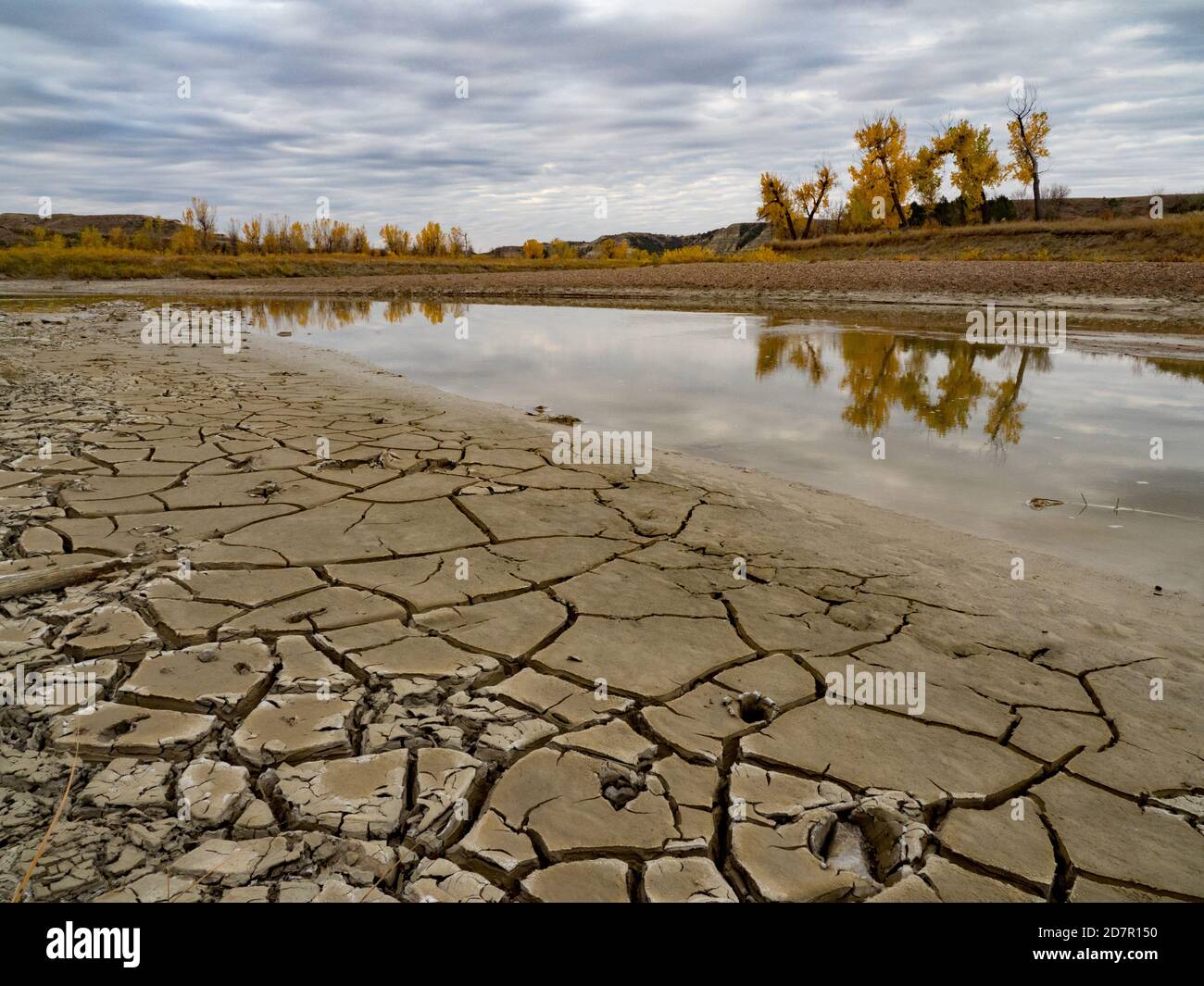 Couleurs d'automne le long de la rivière Little missouri dans les Badlands du parc national Theodore Roosevelt, Dakota du Nord, États-Unis Banque D'Images