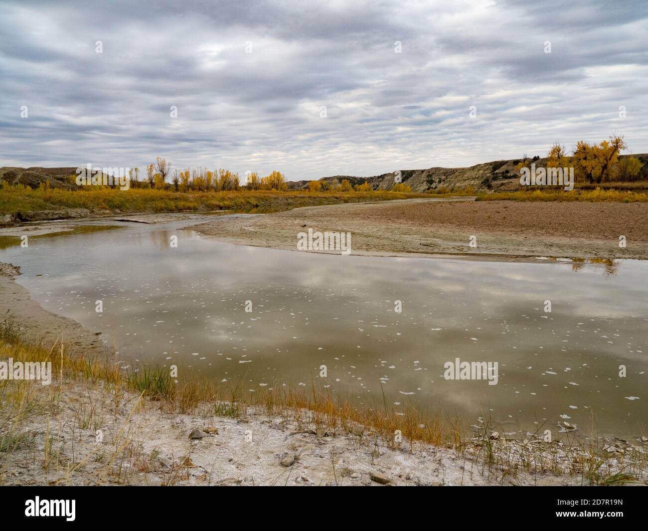 Couleurs d'automne le long de la rivière Little missouri dans les Badlands du parc national Theodore Roosevelt, Dakota du Nord, États-Unis Banque D'Images