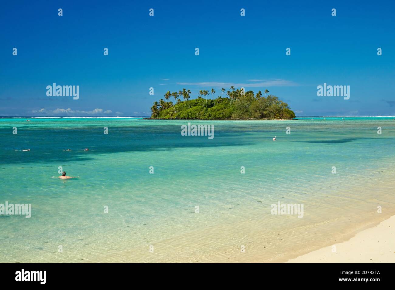 Île de Taakoka, lagon de Muri, Rarotonga, îles Cook, Pacifique Sud Banque D'Images