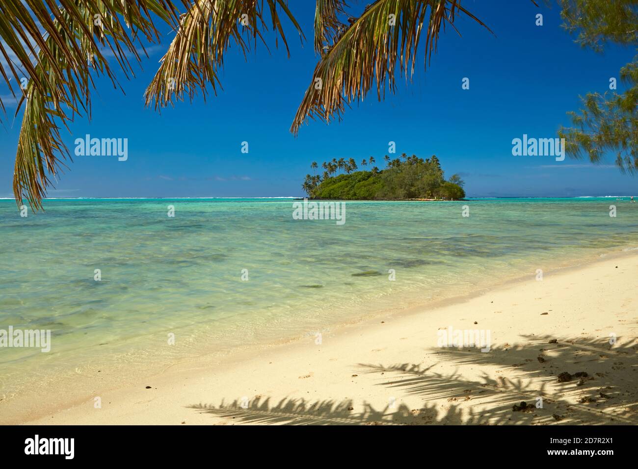 Île de Taakoka et palmiers, lagon de Muri, Rarotonga, îles Cook, Pacifique Sud Banque D'Images