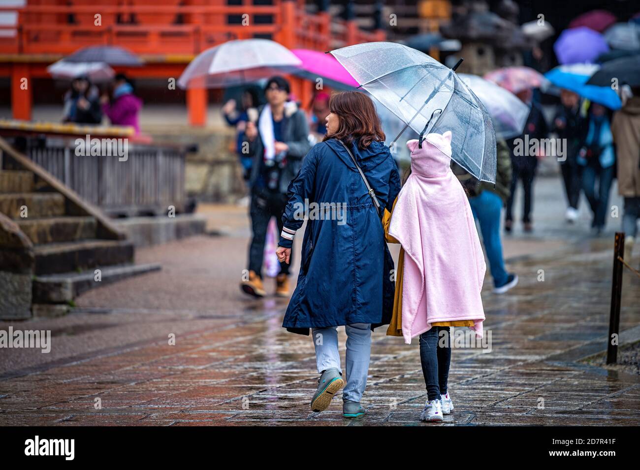 Kyoto, Japon - 10 avril 2019 : les gens de famille touristes avec des parasols marchant à l'entrée pendant la journée des pluies dans le temple de Kiyomizu-dera Banque D'Images