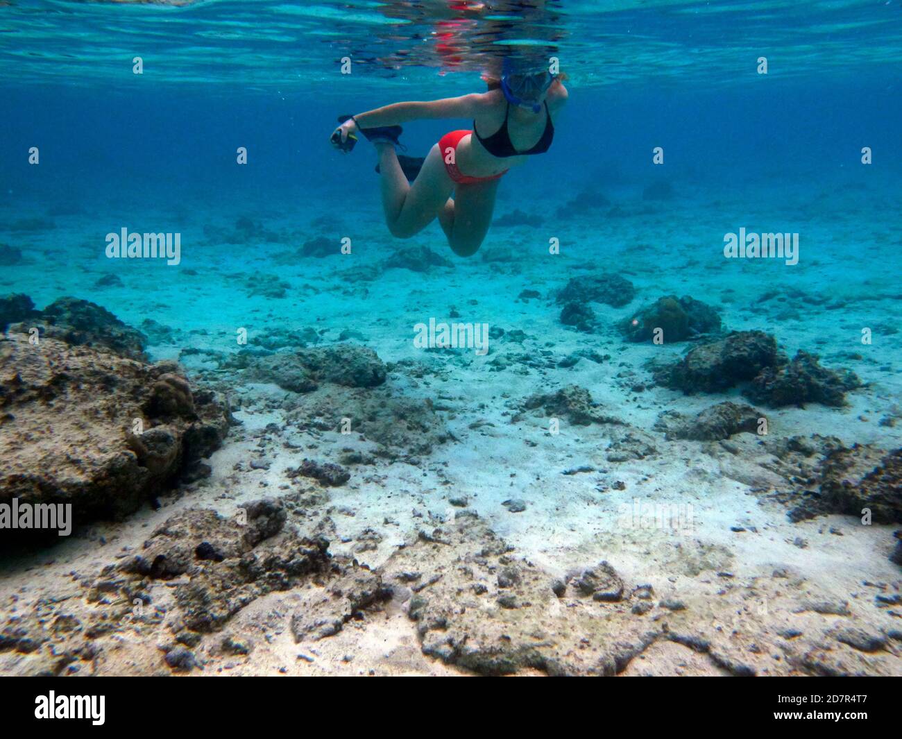 Plongée en apnée pour filles, Rarotonga, Iles Cook, Pacifique Sud (modèle sorti) Banque D'Images