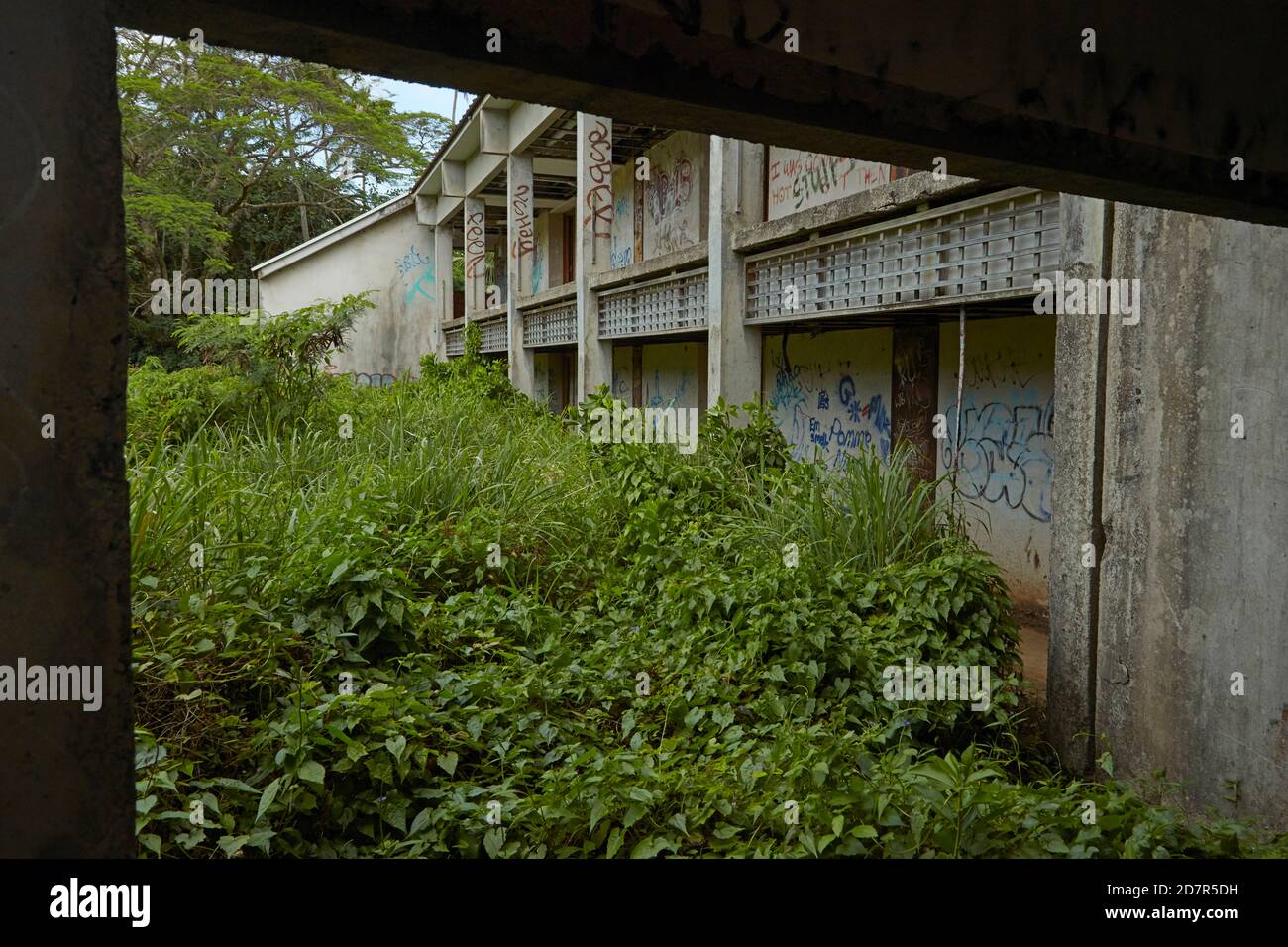 Mauvaises herbes et graffitis surcultivés à l'hôtel Sheraton abandonné, Rarotonga, Îles Cook, Pacifique Sud Banque D'Images