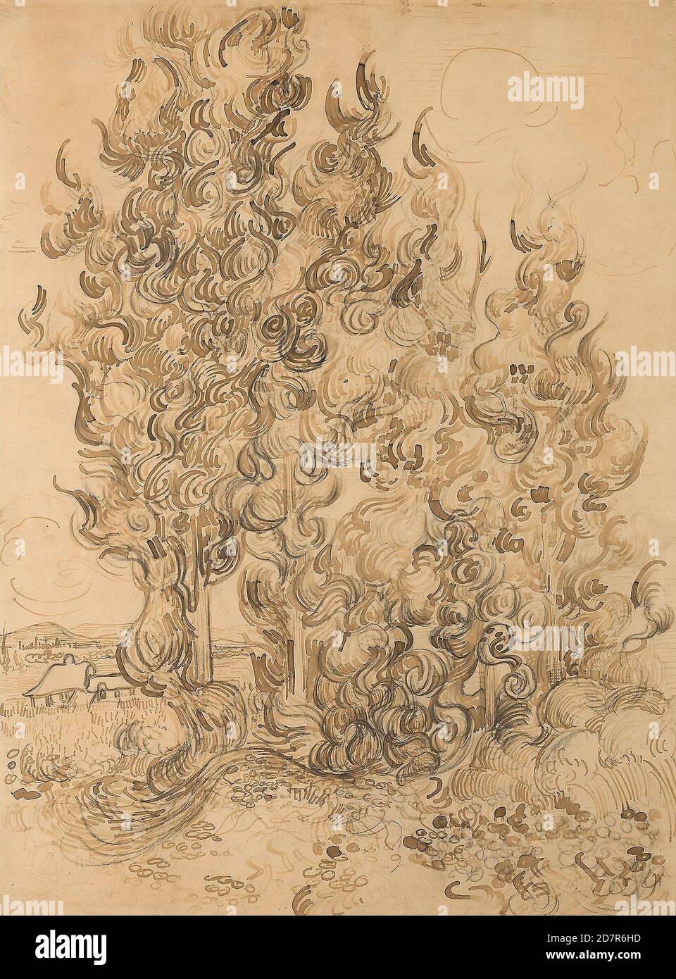 Cyprès - 1889 ; Vincent van Gogh ; néerlandais ; 1853-1890 (stylo à plume et roseau et encres brunes ; avec graphite ; sur papier vélin à polir ; posé sur la carte) Banque D'Images