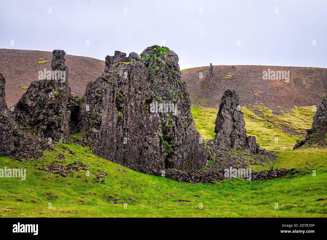 Vue sur le paysage vert des formations rocheuses islandaises de la ferme de Thvotta dans le sud-est pendant l'été et personne Banque D'Images