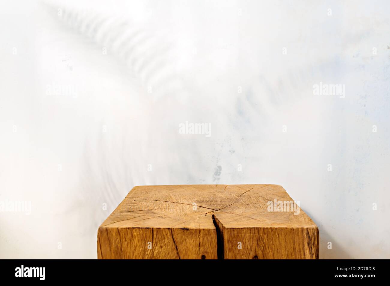 Vitrine en bois avec ombre de fougères sur un mur en plâtré Banque D'Images