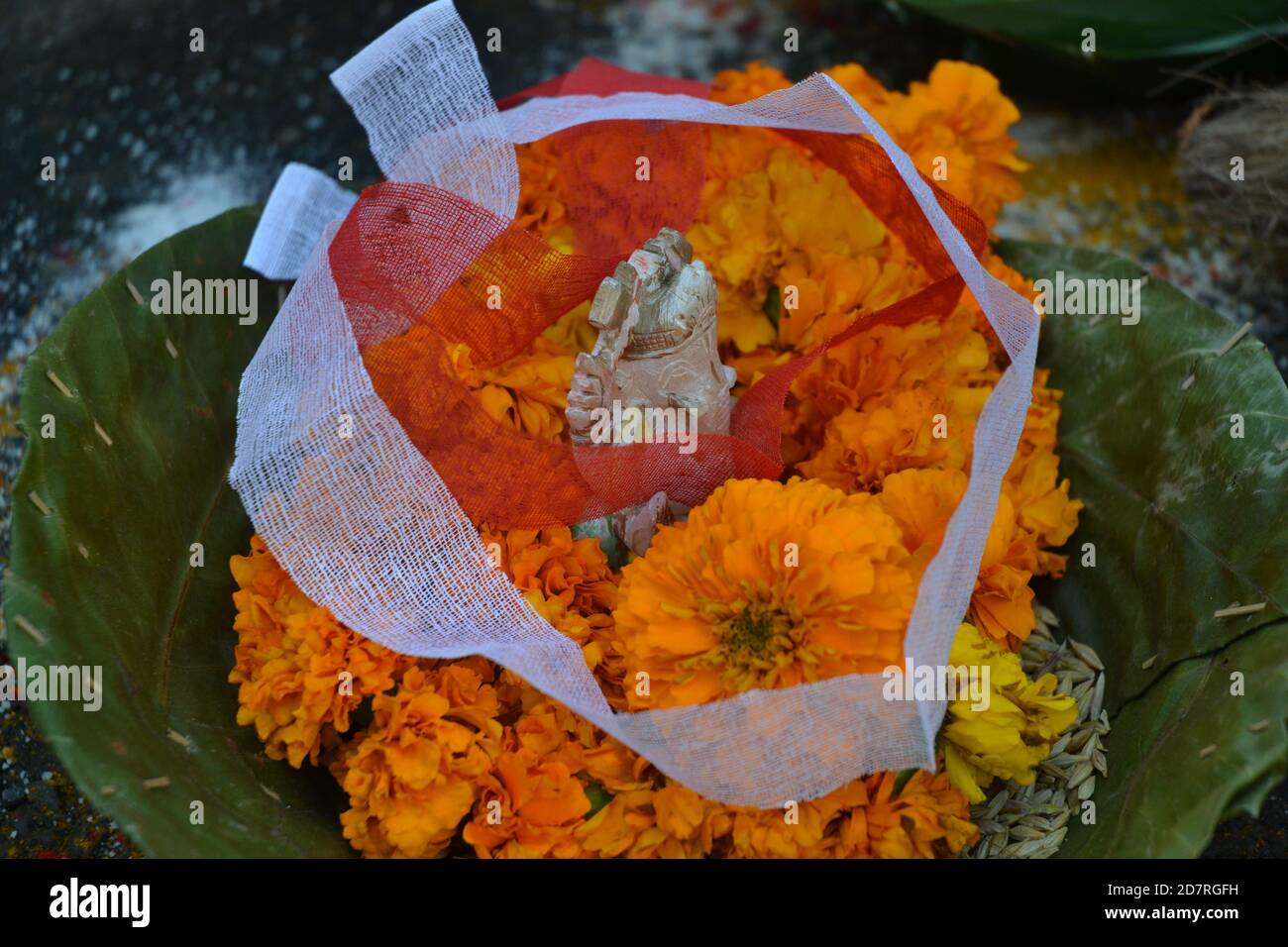 Fleurs Marigold. Emplacement de l'image: Katmandou, Népal Banque D'Images