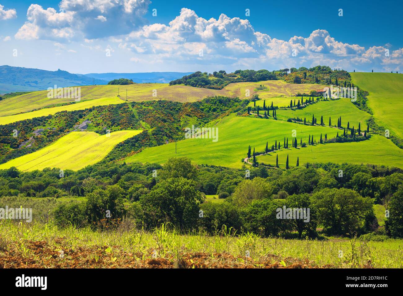 Paysage d'été idyllique avec route rurale sinueuse dans les champs de céréales. Belle vue avec campagne typique paysage toscan, Italie, Europe Banque D'Images