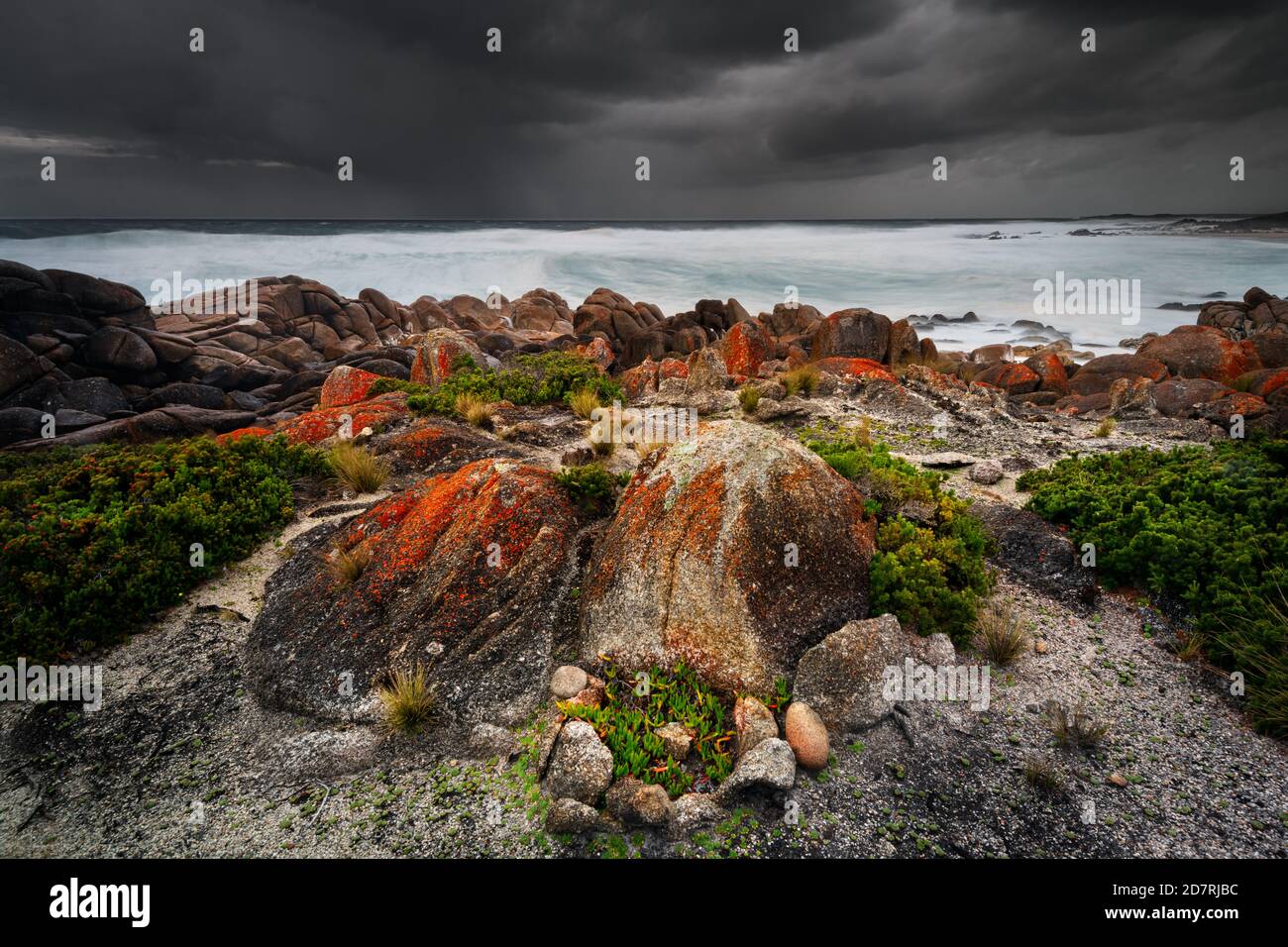 Côte sauvage et sauvage à Granville Harbour. Banque D'Images
