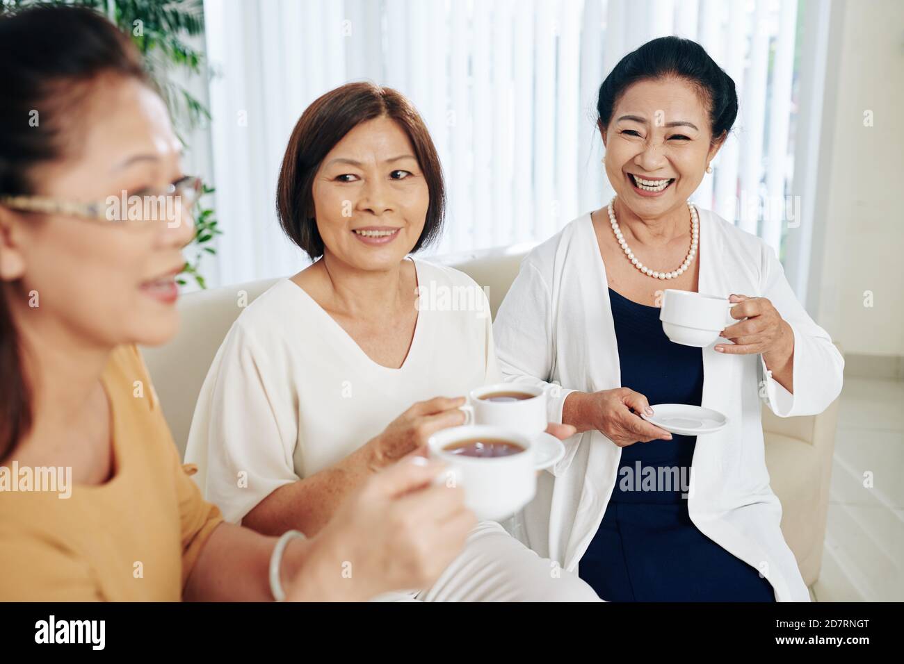 Des amis seniors se sont rassemblés à la maison Banque D'Images