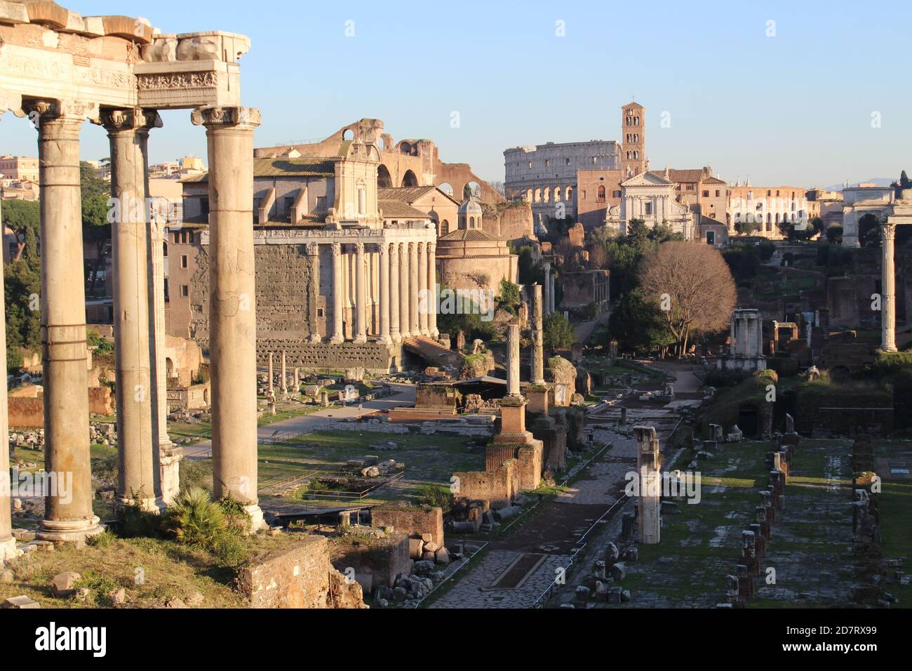 Vue sur le forum romain dans la soirée Banque D'Images