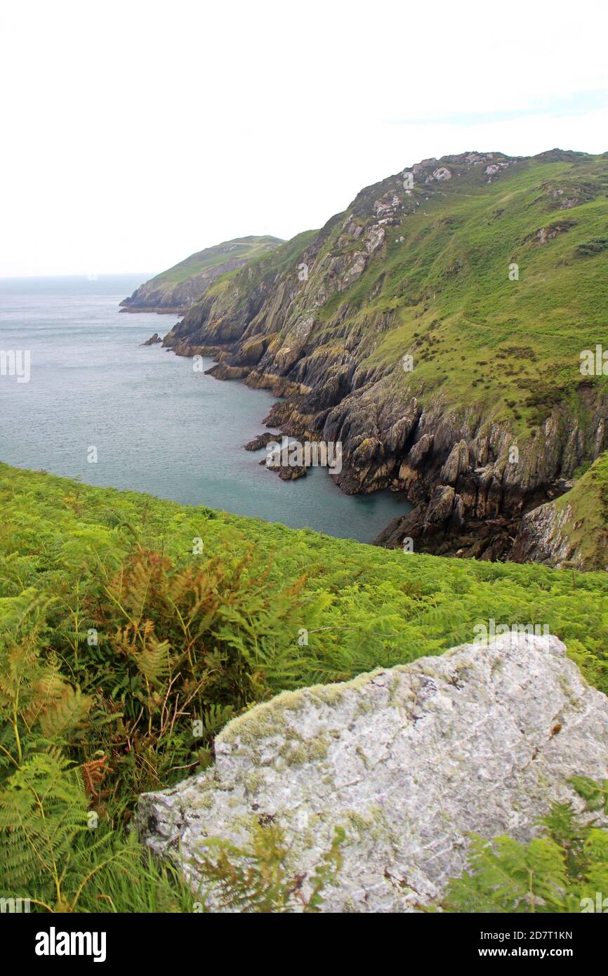 Le sentier côtier d'Anglesey entoure Porth Wen et Hells Mouth Banque D'Images