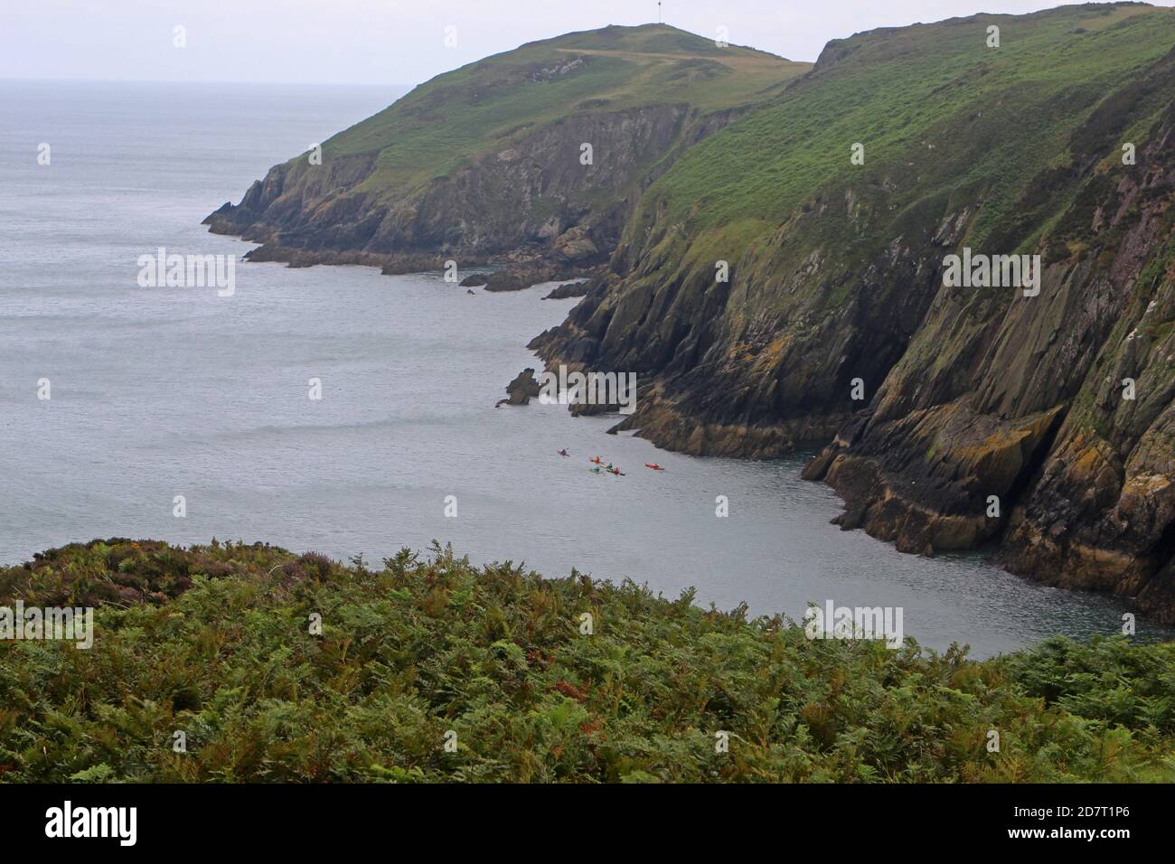 Le sentier côtier d'Anglesey entoure Porth Wen et Hells Mouth Banque D'Images