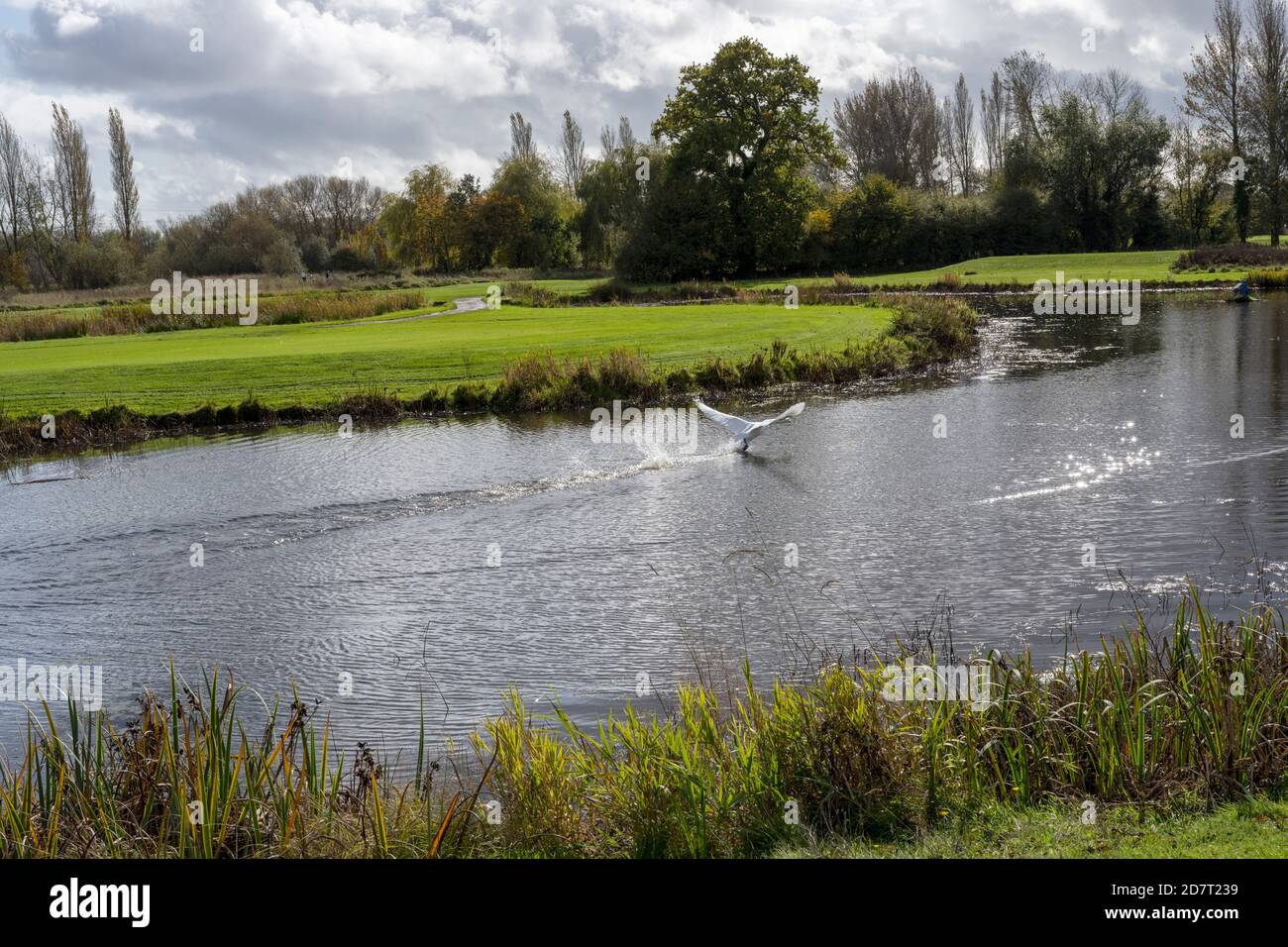 Dudsbury Golf Club Hotel & Spa, Christchurch Road, Ferndown, Bournemouth, Dorset, Angleterre, Royaume-Uni Banque D'Images