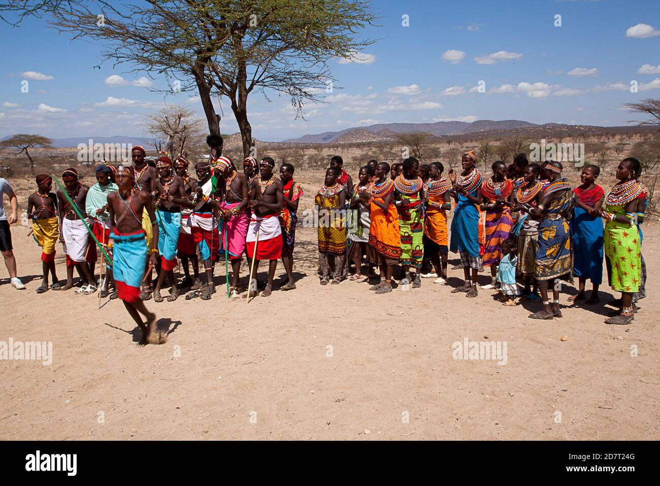 Membres de la tribu Samburu dans une danse traditionnelle, Kenya. Les Samburu sont un peuple nilotique du centre-nord du Kenya. Samburu sont pastorales semi-nomades Banque D'Images