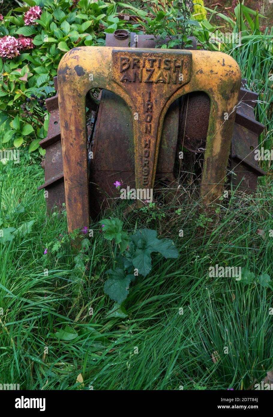 ancienne grille du tracteur dans de l'herbe trop cultivée Banque D'Images