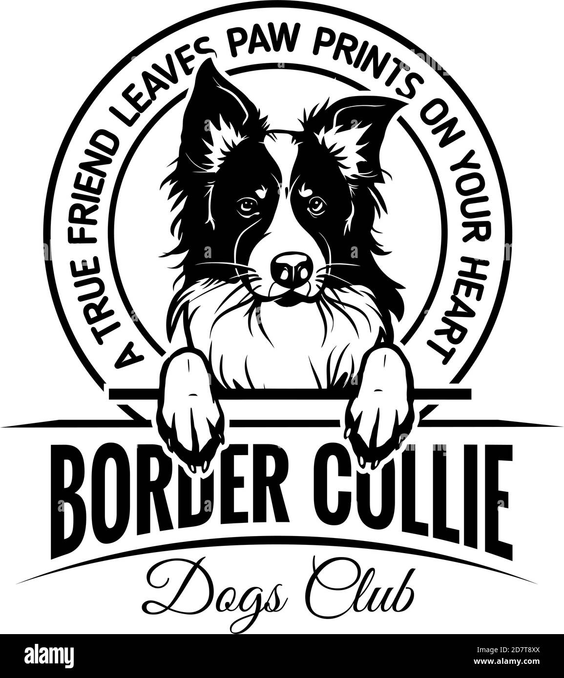 Border collie - badge, autocollant, étiquette, emblème. Élément de conception. Illustration de Vecteur
