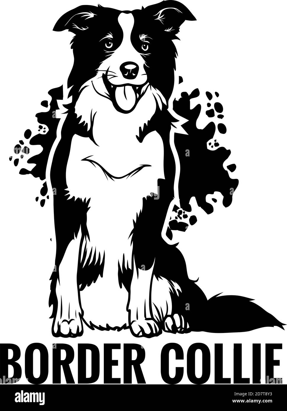 Border collie assis avec sa langue. Élément de conception. Illustration de Vecteur