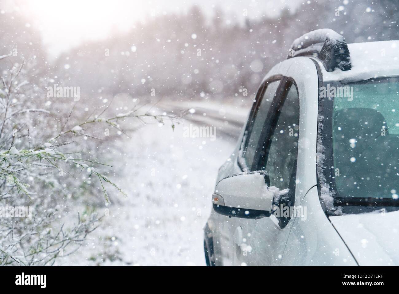 Voiture blanche sur une route d'hiver par une forêt couverte de neige. Banque D'Images