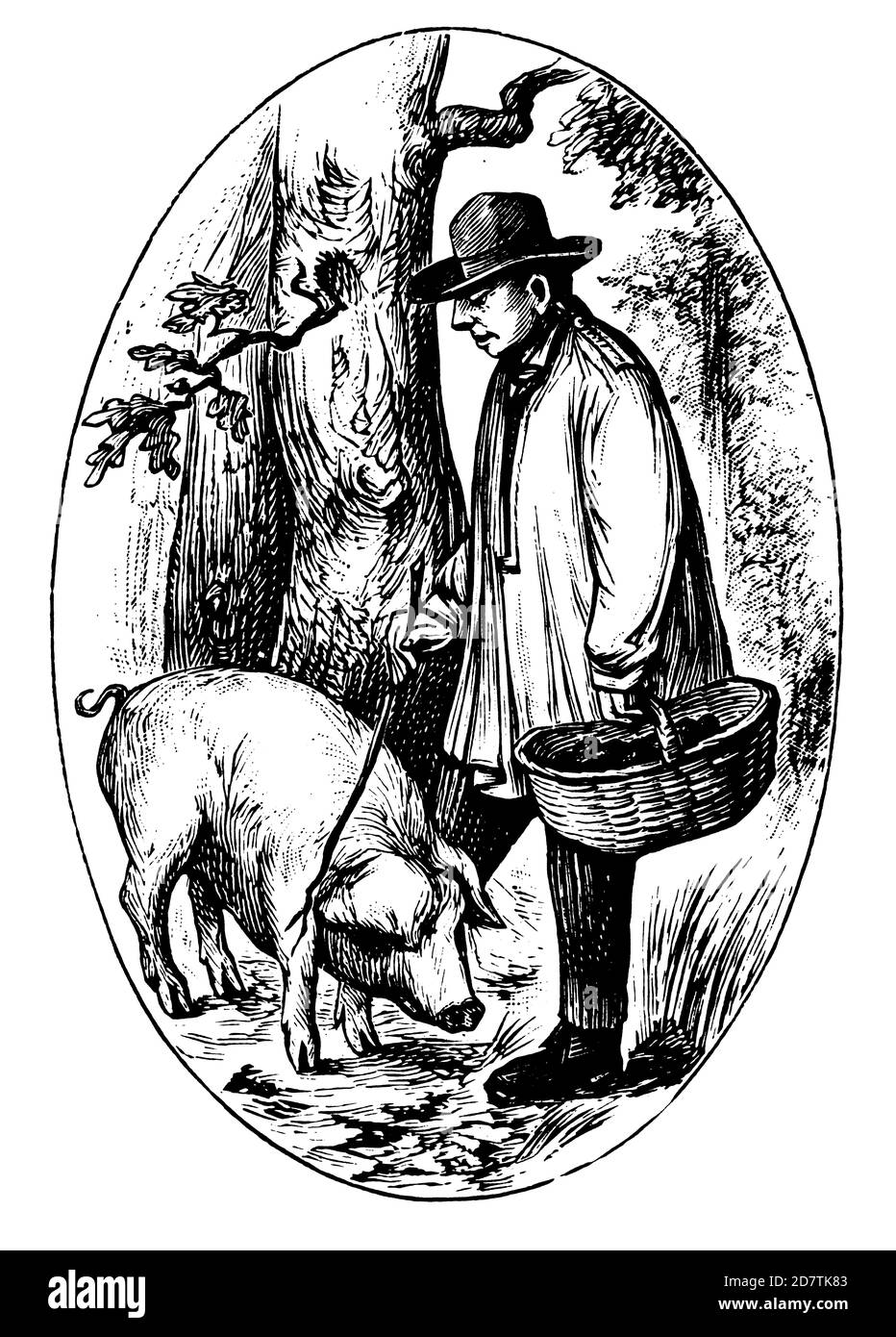gravure du xixe siècle d'un collecteur de truffes (isolé sur blanc). Publié dans spécimens des divers caractères et vignettes typographiques de la fond Banque D'Images