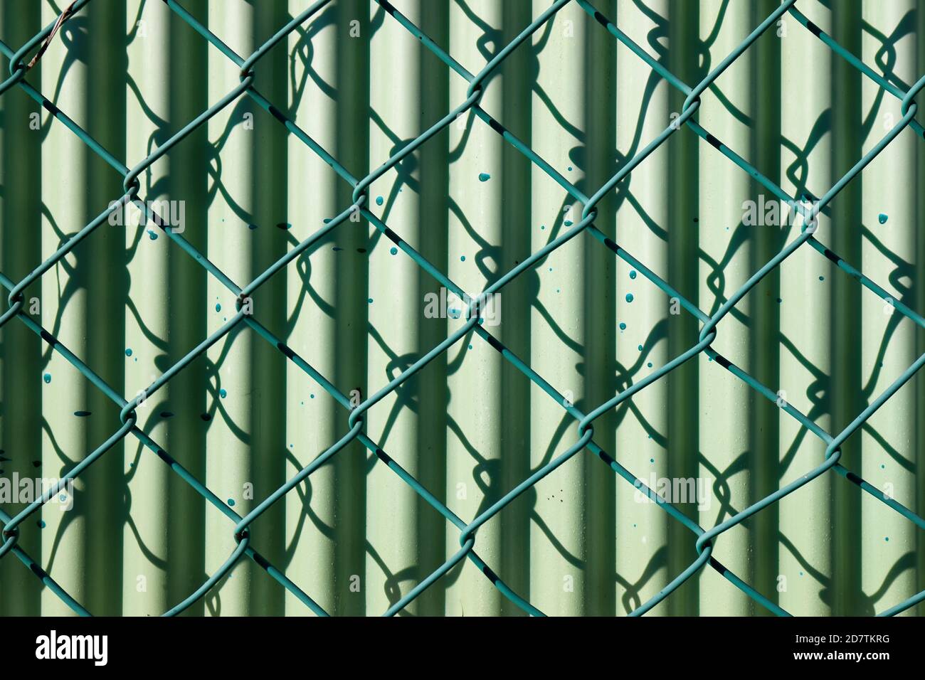 Fil de la maille clôture et mur de métal ondulé, vert Banque D'Images