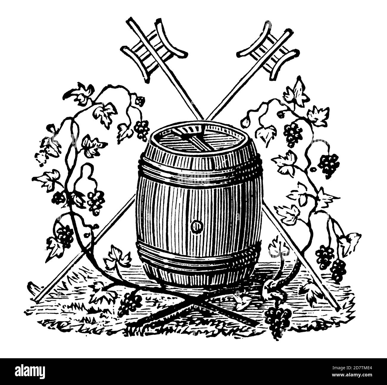 Étiquettes à vin vintage au design traditionnel français Banque D'Images
