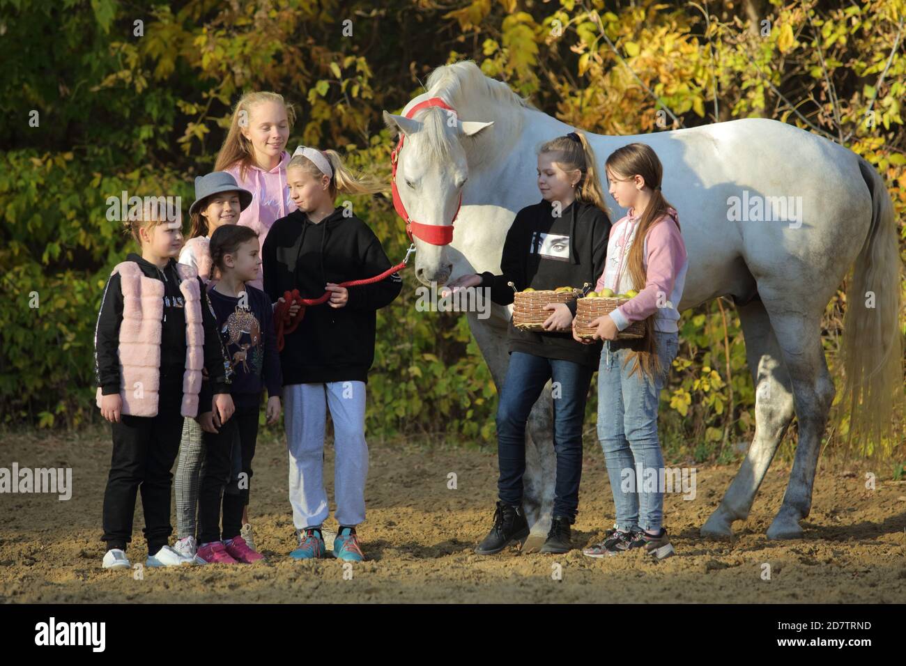 Enfants jouant au cheval de frégon dans la ferme. Les petites filles s'amusent tout en marchant à l'extérieur Banque D'Images