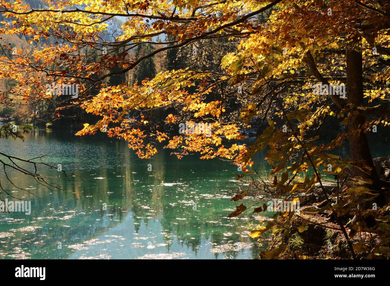 Automne dans le parc naturel des lacs Fusine, Italie Banque D'Images