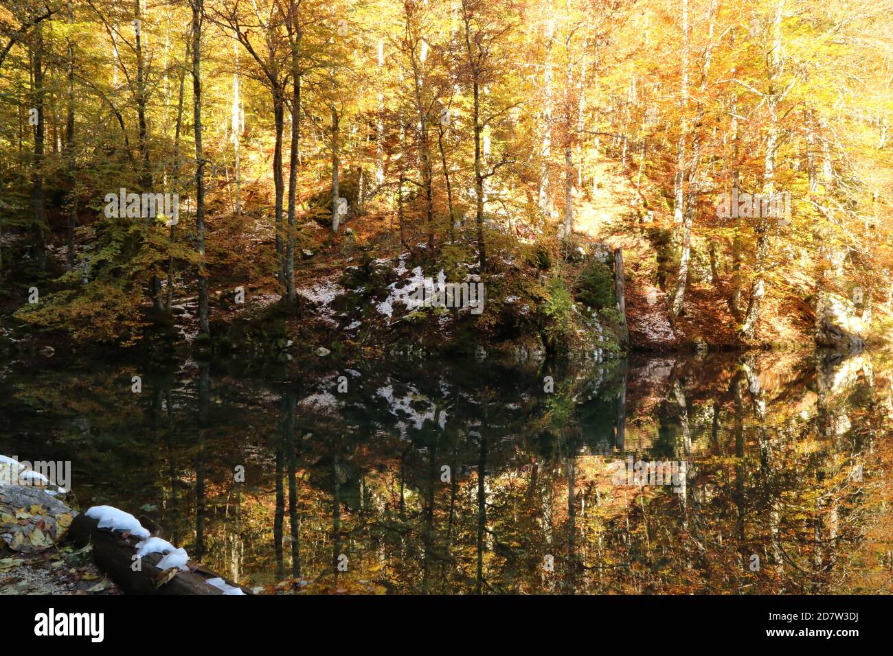 Automne dans le parc naturel des lacs Fusine, Italie Banque D'Images