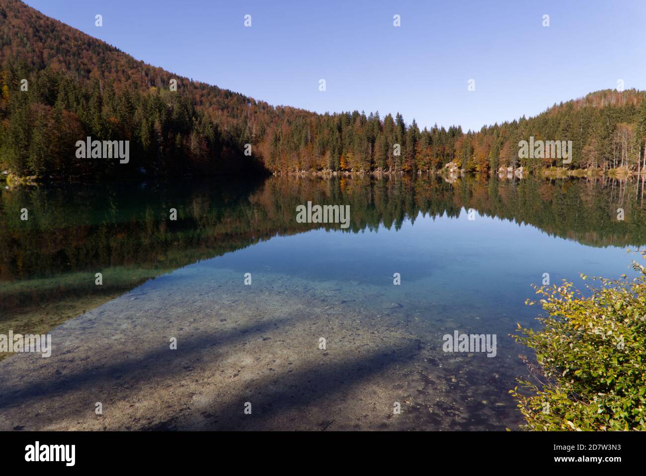 Automne dans le parc naturel des lacs Fusine, Italie Banque D'Images