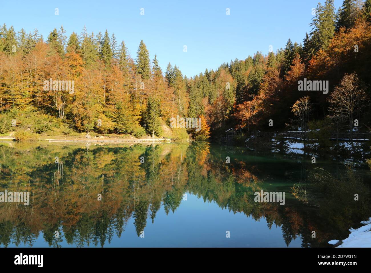Automne dans le parc naturel des lacs Fusine, Italie Banque D'Images