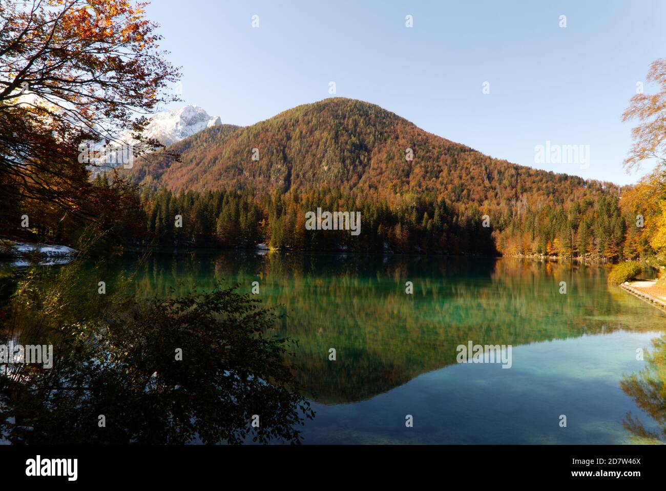 Automne dans le parc naturel des lacs Fusine, Italie Banque D'Images