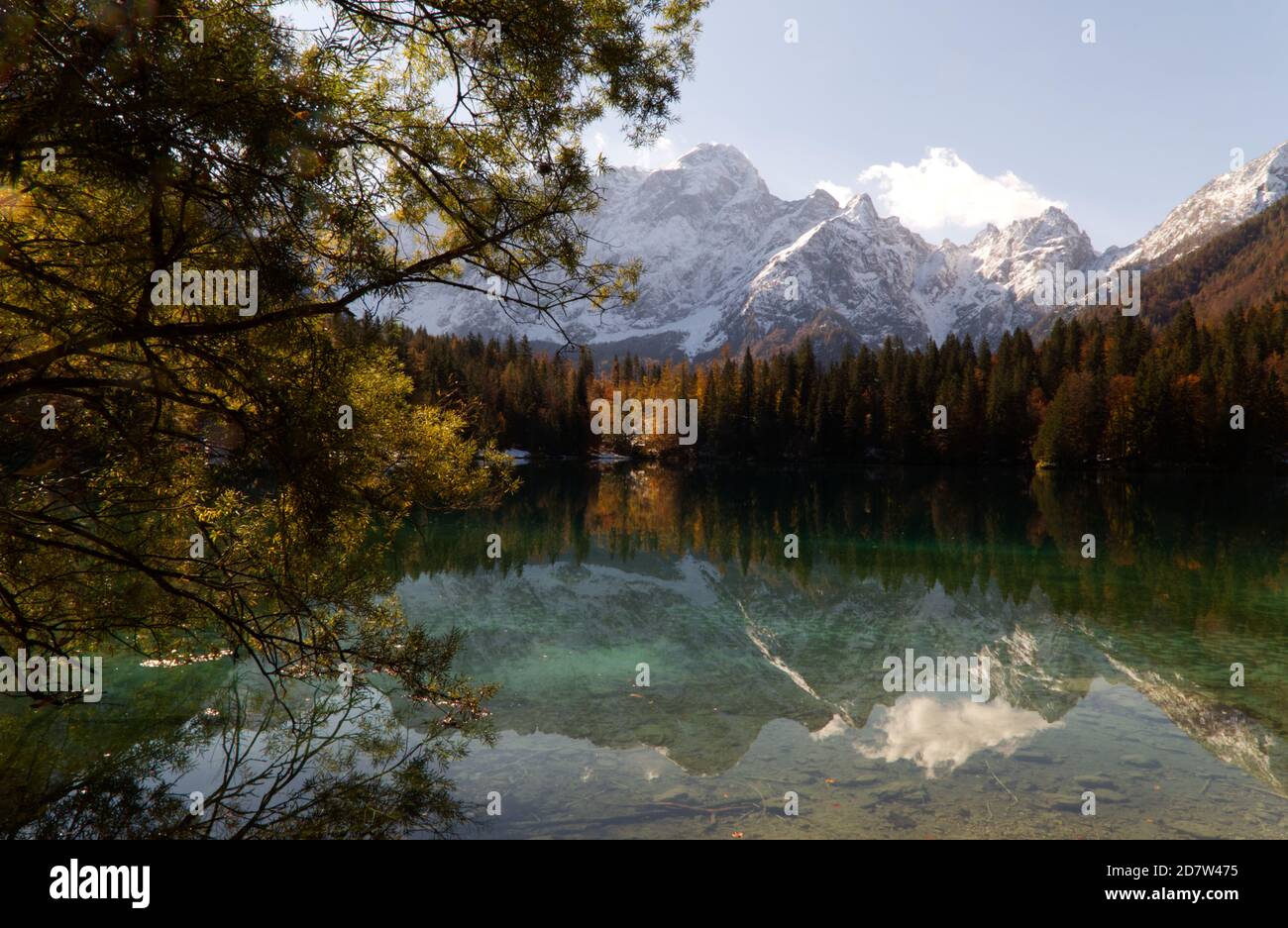 Automne dans le parc naturel des lacs Fusine, Italie Banque D'Images