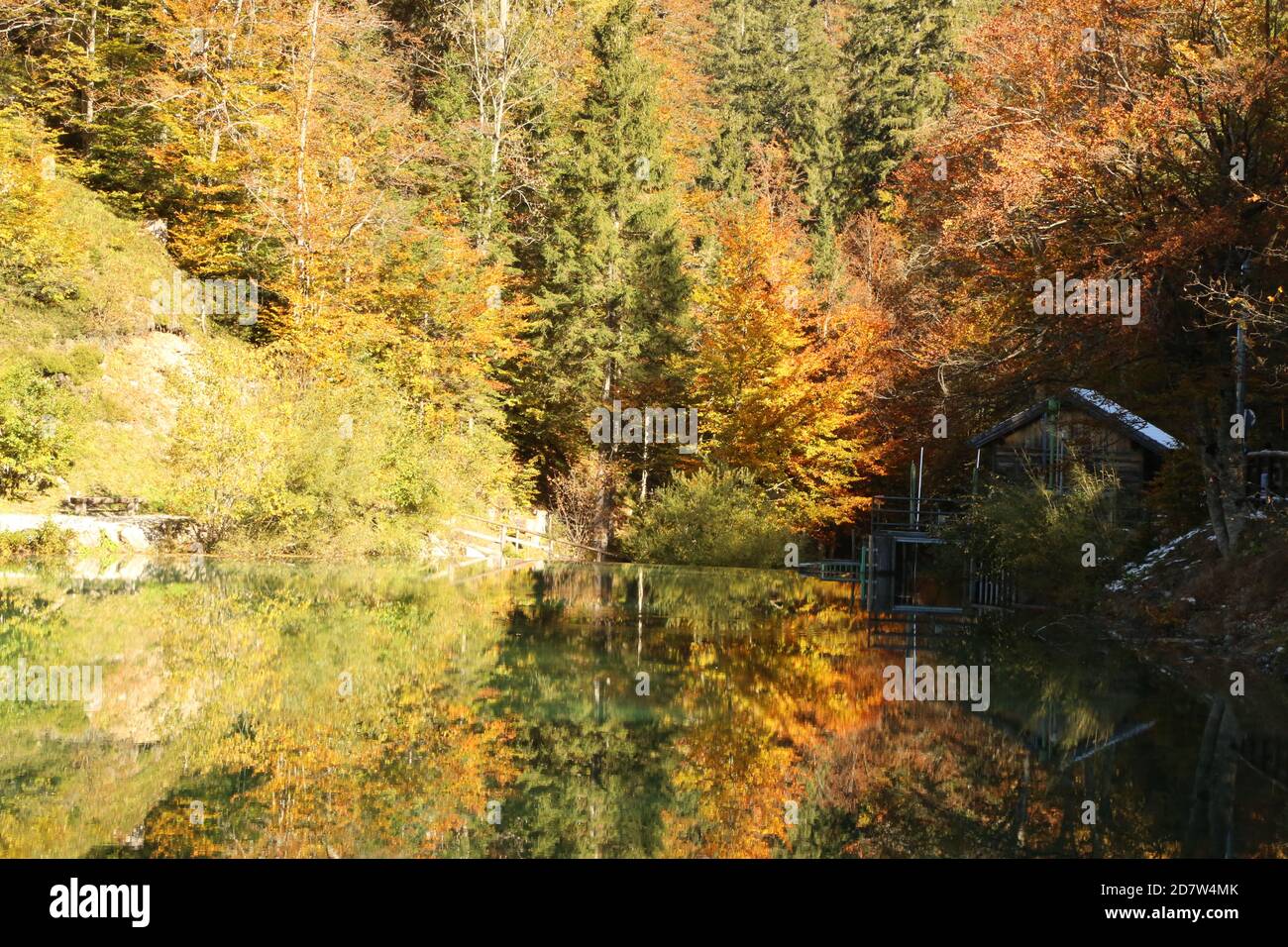 Automne dans le parc naturel des lacs Fusine, Italie Banque D'Images