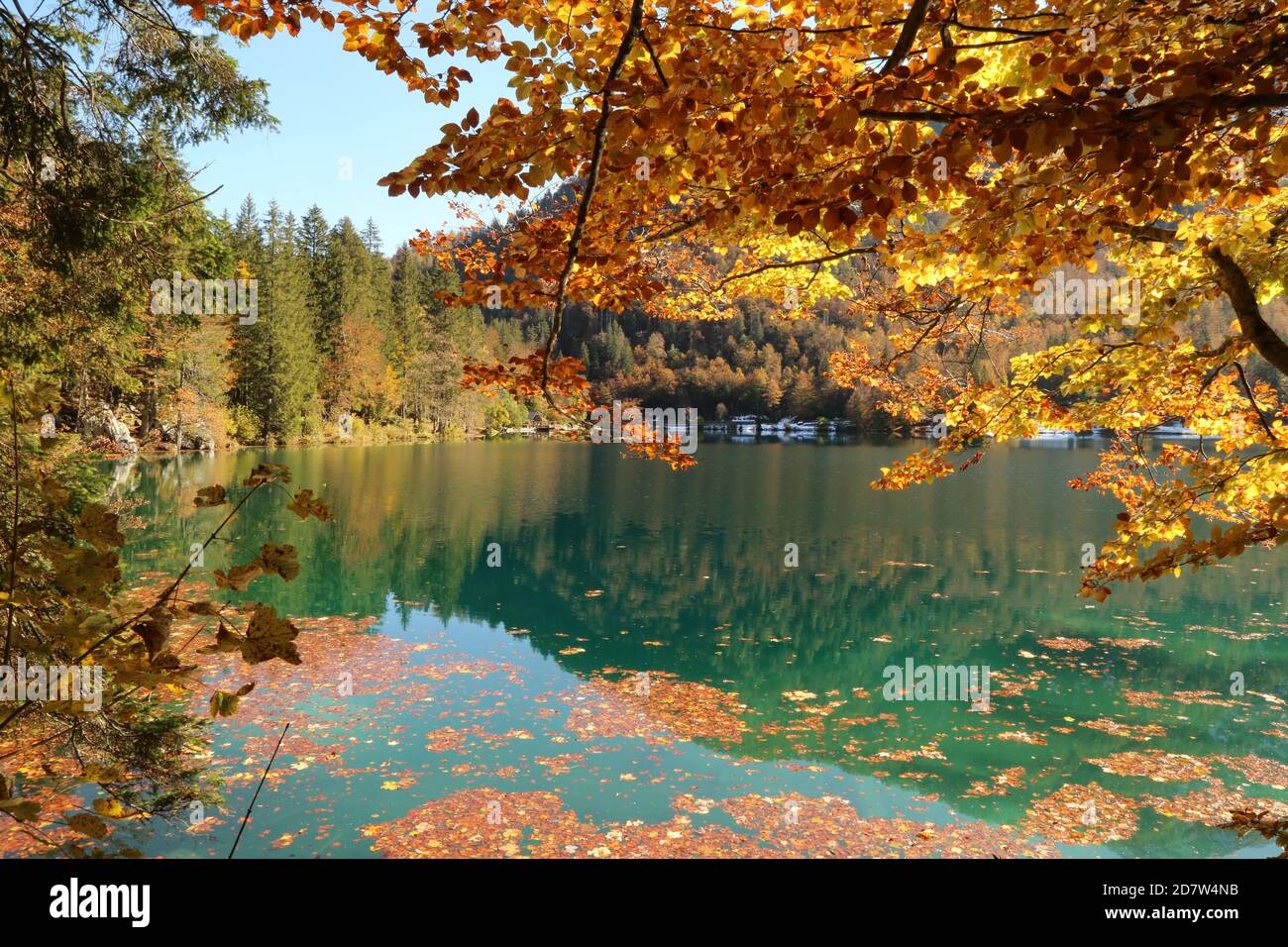 Automne dans le parc naturel des lacs Fusine, Italie Banque D'Images