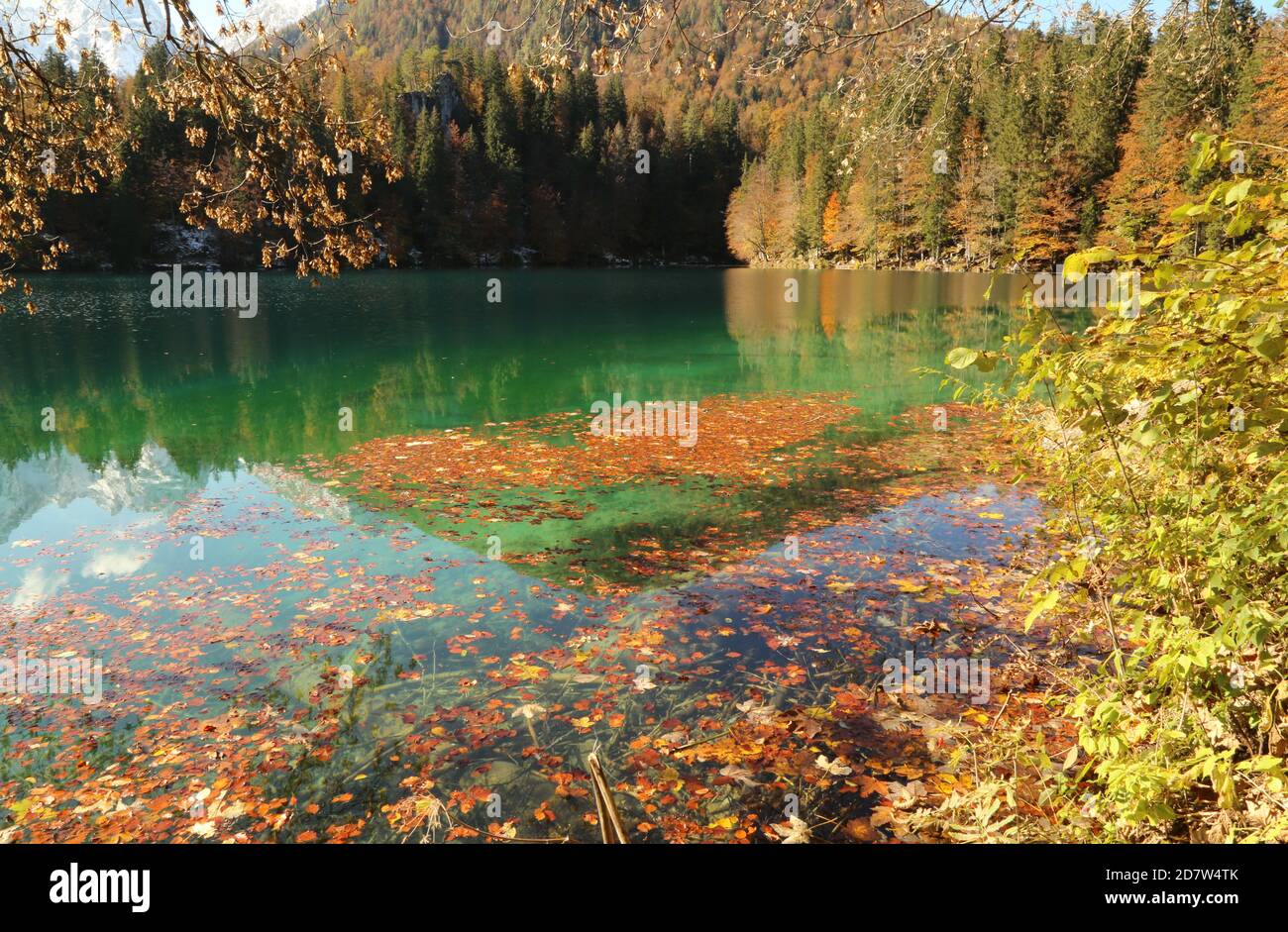 Automne dans le parc naturel des lacs Fusine, Italie Banque D'Images