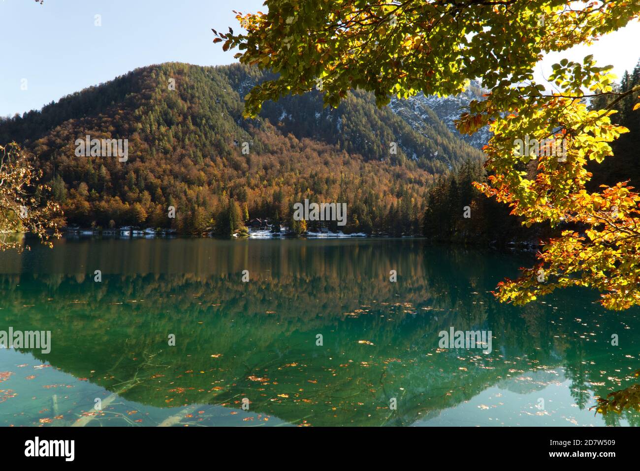 Automne dans le parc naturel des lacs Fusine, Italie Banque D'Images