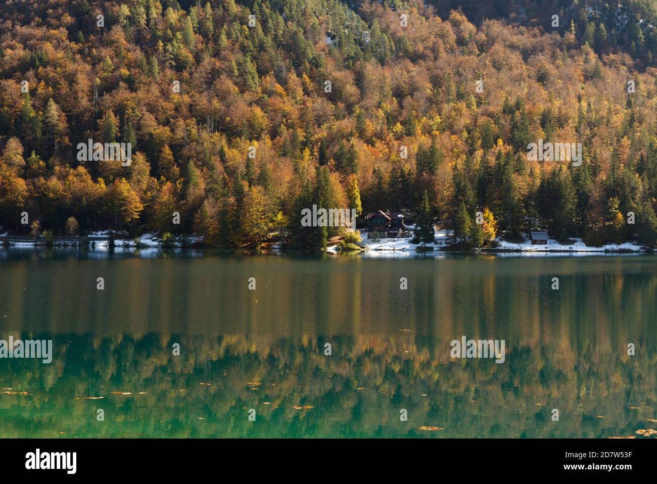 Automne dans le parc naturel des lacs Fusine, Italie Banque D'Images