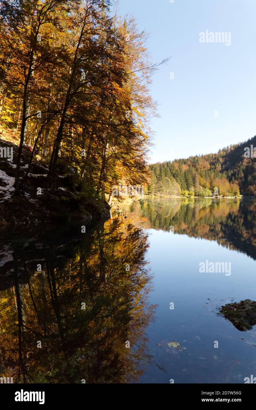 Automne dans le parc naturel des lacs Fusine, Italie Banque D'Images