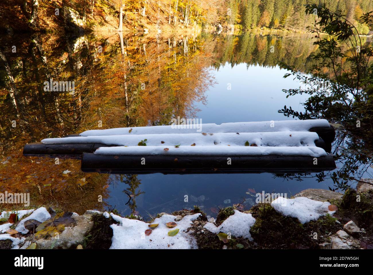 Automne dans le parc naturel des lacs Fusine, Italie Banque D'Images