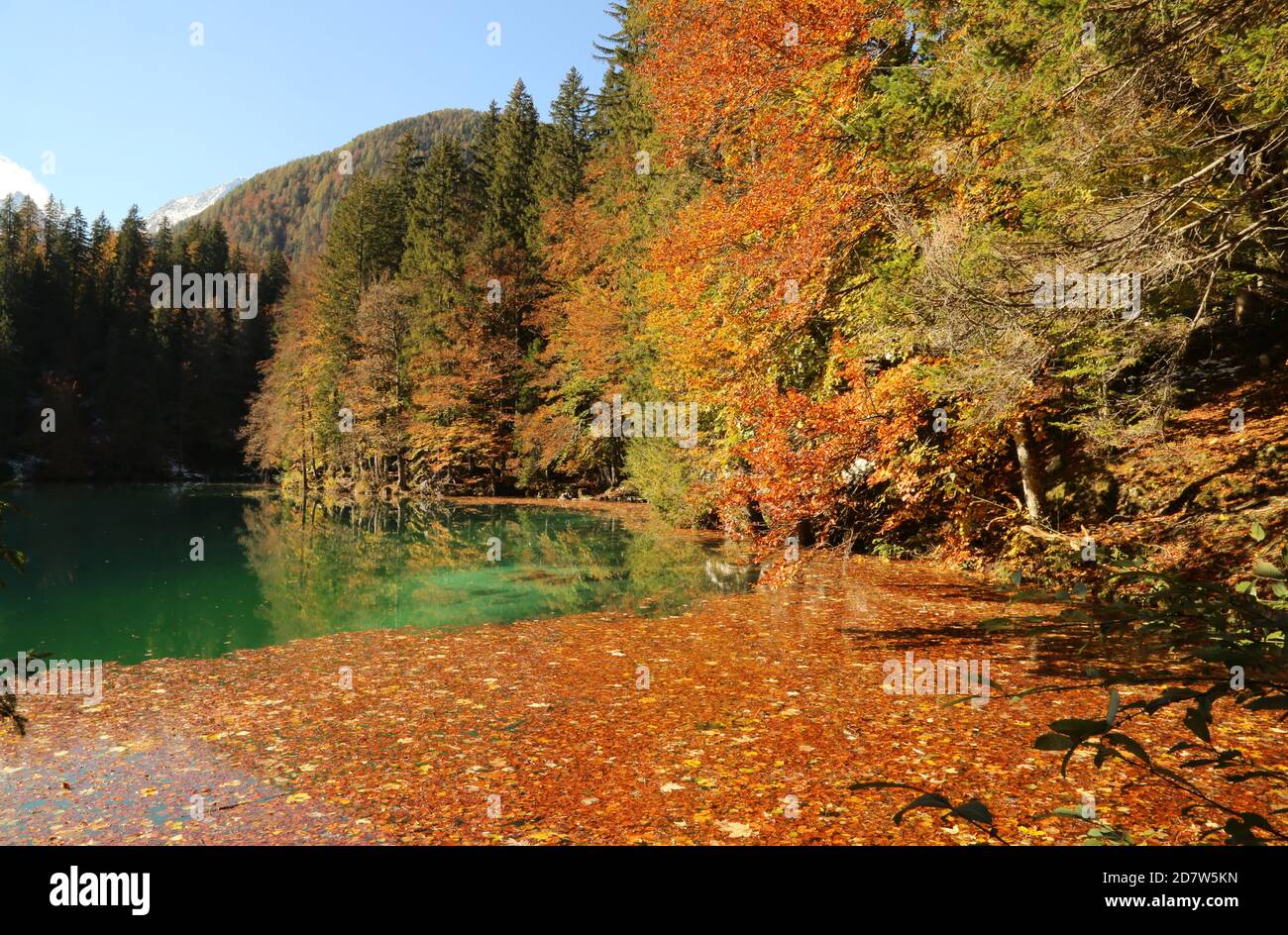 Automne dans le parc naturel des lacs Fusine, Italie Banque D'Images