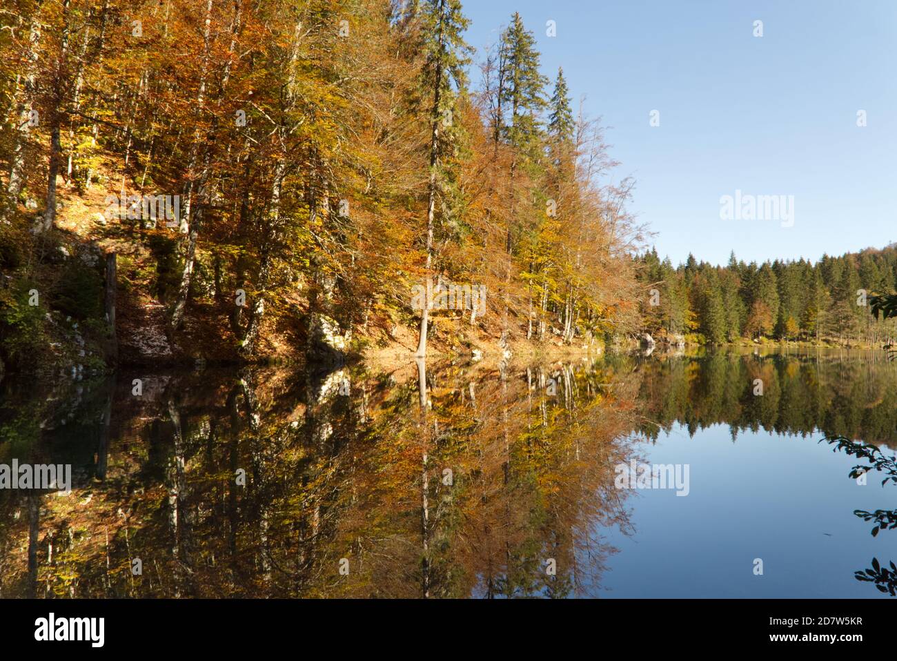 Automne dans le parc naturel des lacs Fusine, Italie Banque D'Images