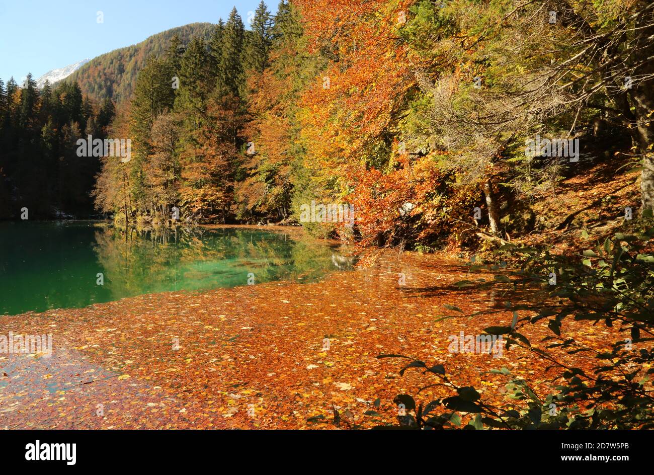 Automne dans le parc naturel des lacs Fusine, Italie Banque D'Images