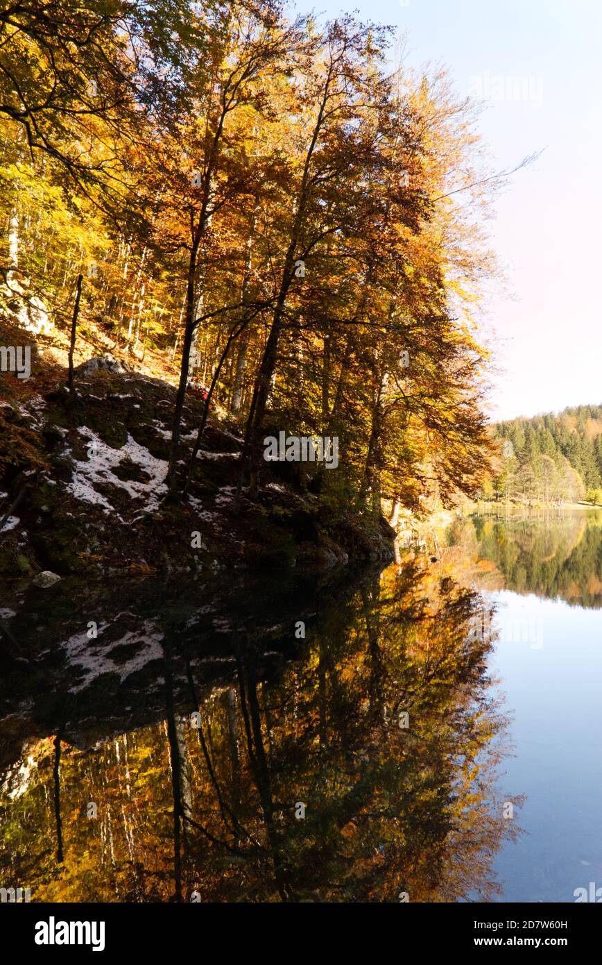 Automne dans le parc naturel des lacs Fusine, Italie Banque D'Images