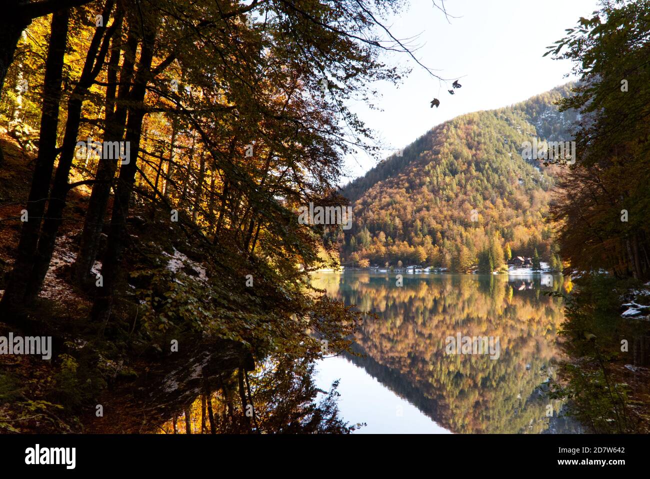 Automne dans le parc naturel des lacs Fusine, Italie Banque D'Images