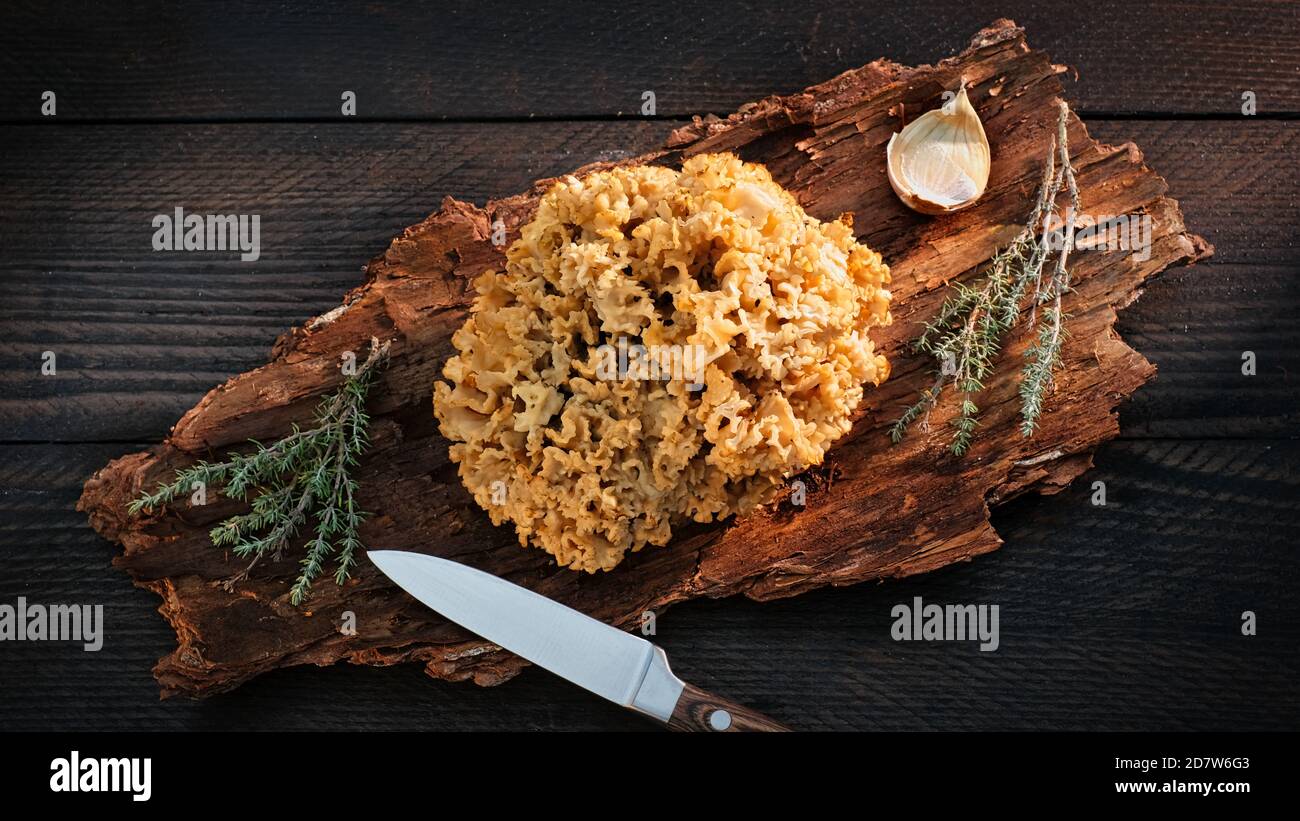 Sparacis frais sur une écorce de pin joliment agencée avec des feuilles de thym, de romarin et d'ail sur une table en bois brun foncé Banque D'Images