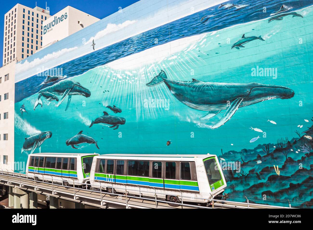 Miami Florida, People MetroMover service de train gratuit au centre-ville, Marine Life baleines thème mur bâtiment latéral, Banque D'Images